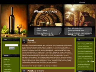 http://blog.wina.edu.pl