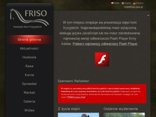 http://www.friso.com.pl