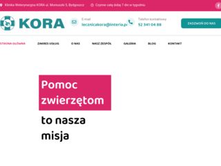https://www.lecznica-kora.pl