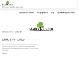 http://www.marekgurgul.pl