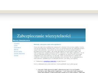 http://www.metody.zafriko.pl