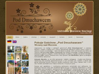 http://pod-dmuchawcem.pl
