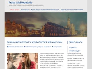 http://www.praca-wielkopolskie.com.pl