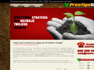 http://pseo.pl