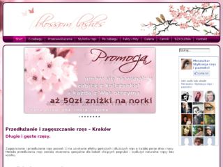 http://rzesy-krakow.pl