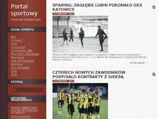 http://sportowy-portal.pl