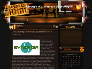 http://www.synergia.org.pl