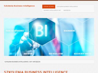 http://www.szkolenia-business-intelligence.pl