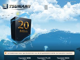http://www.tsunami.pl