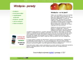 http://wzdecia.poradnikzdrowia.net