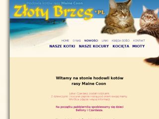 http://www.zlotybrzeg.pl