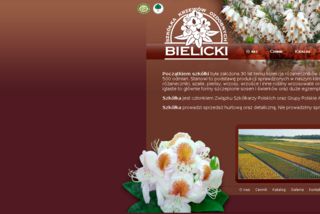http://bielicki.com.pl