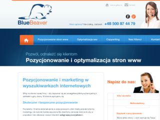 http://bluebeaver.pl