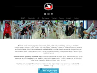 http://www.capoeira.katowice.pl