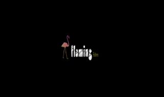 http://www.flamingfilm.com