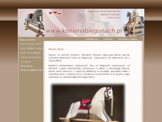 http://www.konienabiegunach.pl