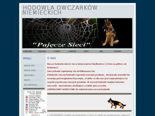 http://pajeczesieci.pl