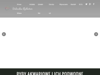 http://podwodnekrolestwo.pl