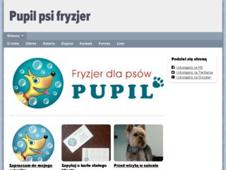 http://www.pupil-psifryzjer.pl