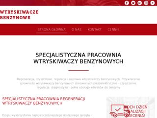 https://www.wtryskiwacze-benzynowe.pl